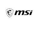 MSI